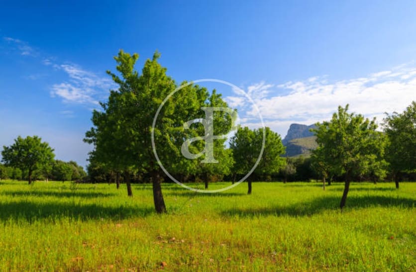 Apartment for sale in Capdepera - € 985,000 (Ref: 9820534)