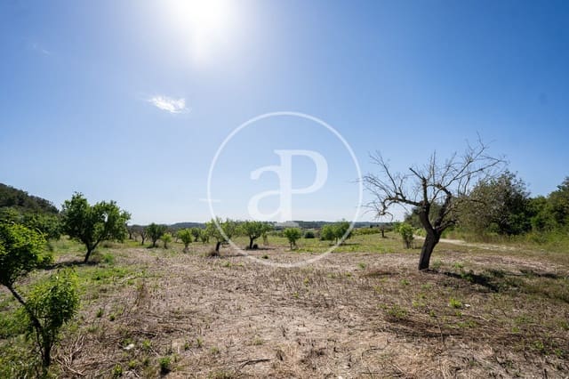 Undeveloped Land for sale in Montuïri - € 775,000 (Ref: 9833681)