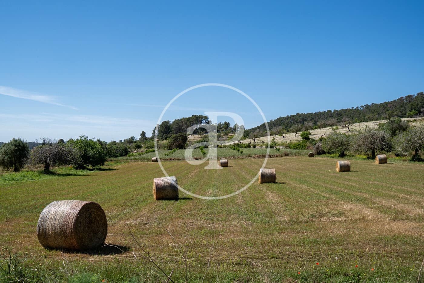 Undeveloped Land for sale in Montuiri - € 775,000 (Ref: 9833681)