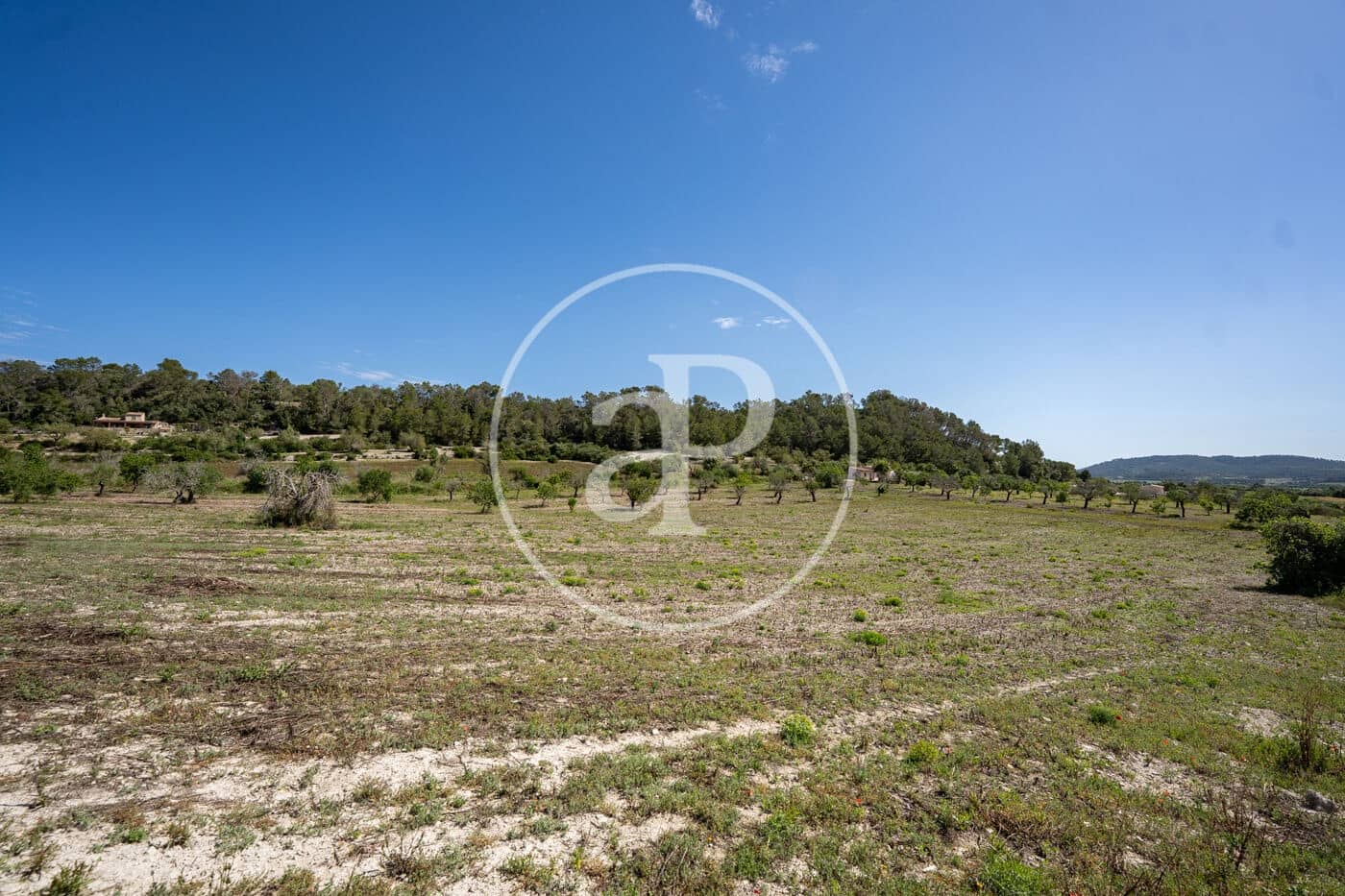 Undeveloped Land for sale in Montuiri - € 775,000 (Ref: 9833681)