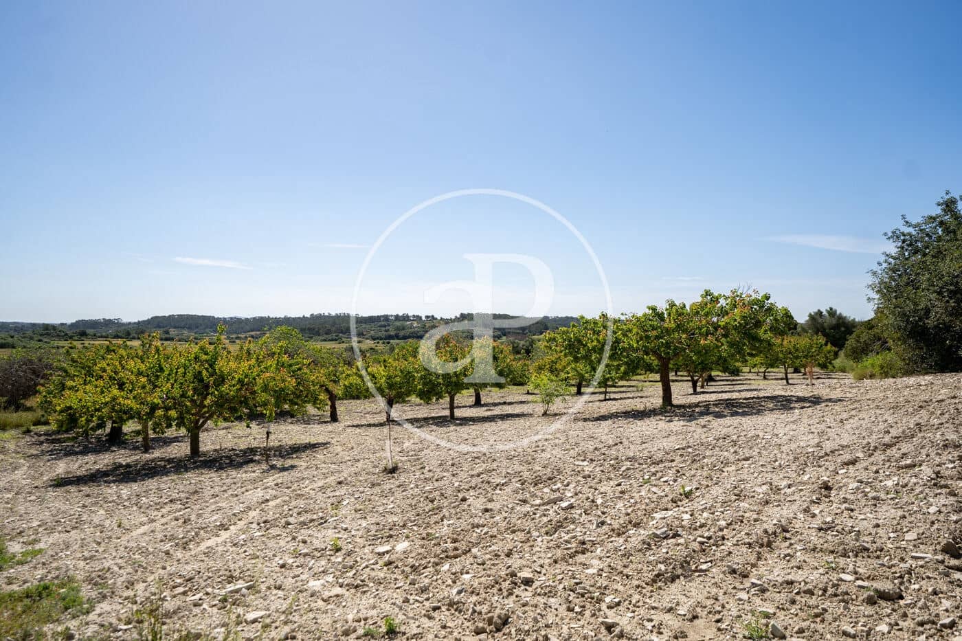 Undeveloped Land for sale in Montuiri - € 775,000 (Ref: 9833681)