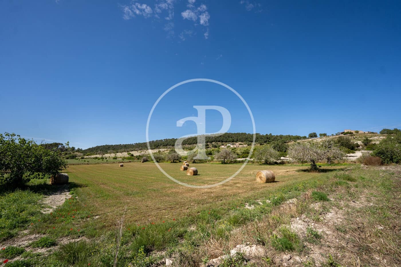 Undeveloped Land for sale in Montuiri - € 775,000 (Ref: 9833681)
