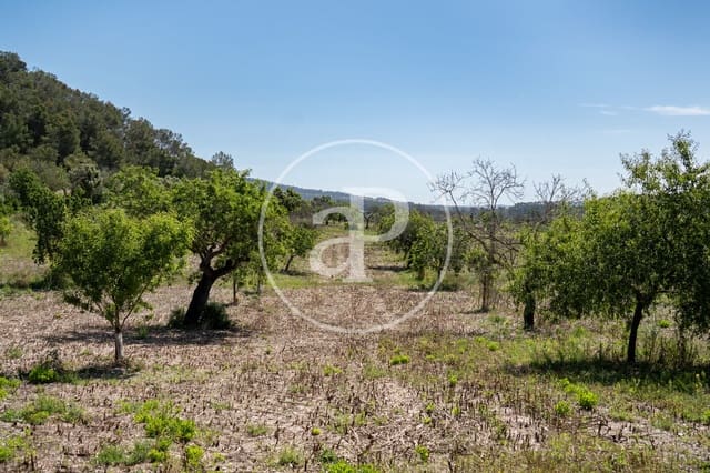 Undeveloped Land for sale in Montuïri - € 775,000 (Ref: 9833681)