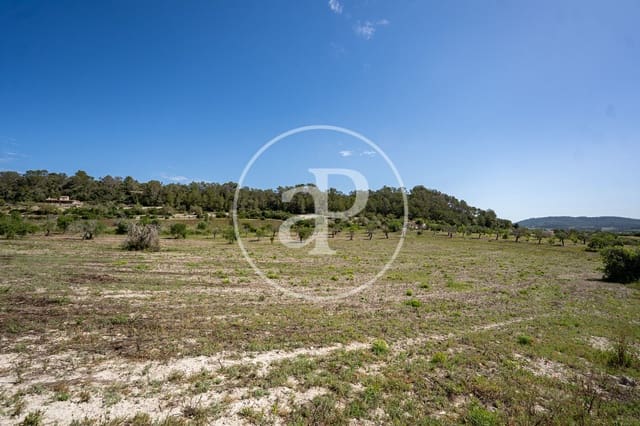 Undeveloped Land for sale in Montuïri - € 775,000 (Ref: 9833681)