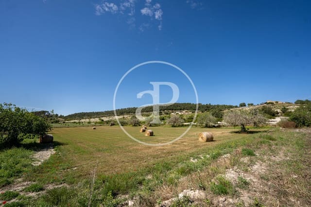 Undeveloped Land for sale in Montuïri - € 775,000 (Ref: 9833681)