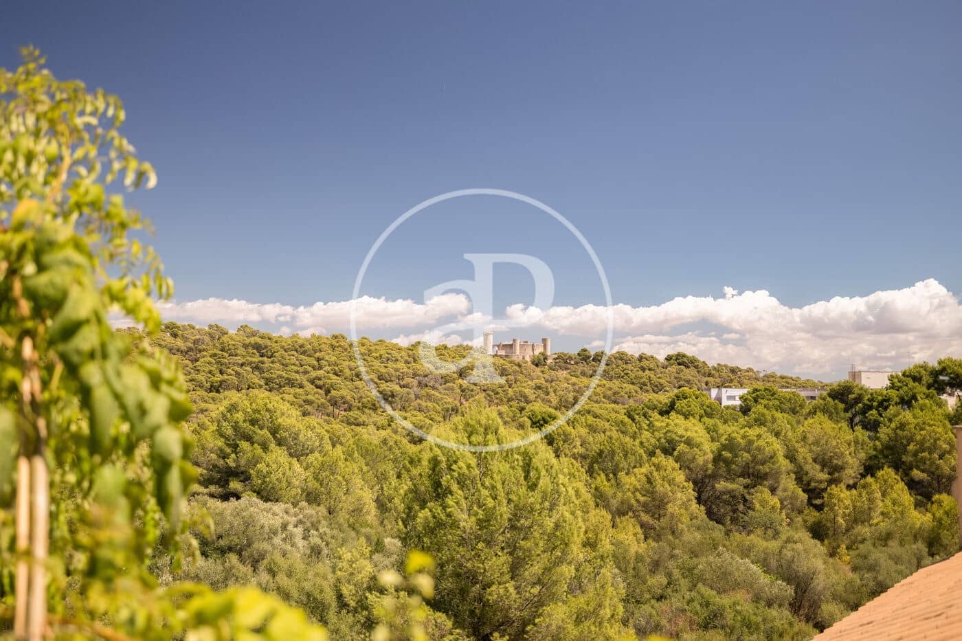 2 bedroom Penthouse for rent in Palma de Mallorca with pool - € 2,500 (Ref: 9846256)
