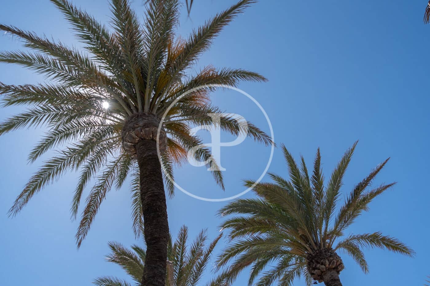 Apartamento de 2 habitaciones en Palma de Mallorca en venta - 559.000 € (Ref: 9849399)