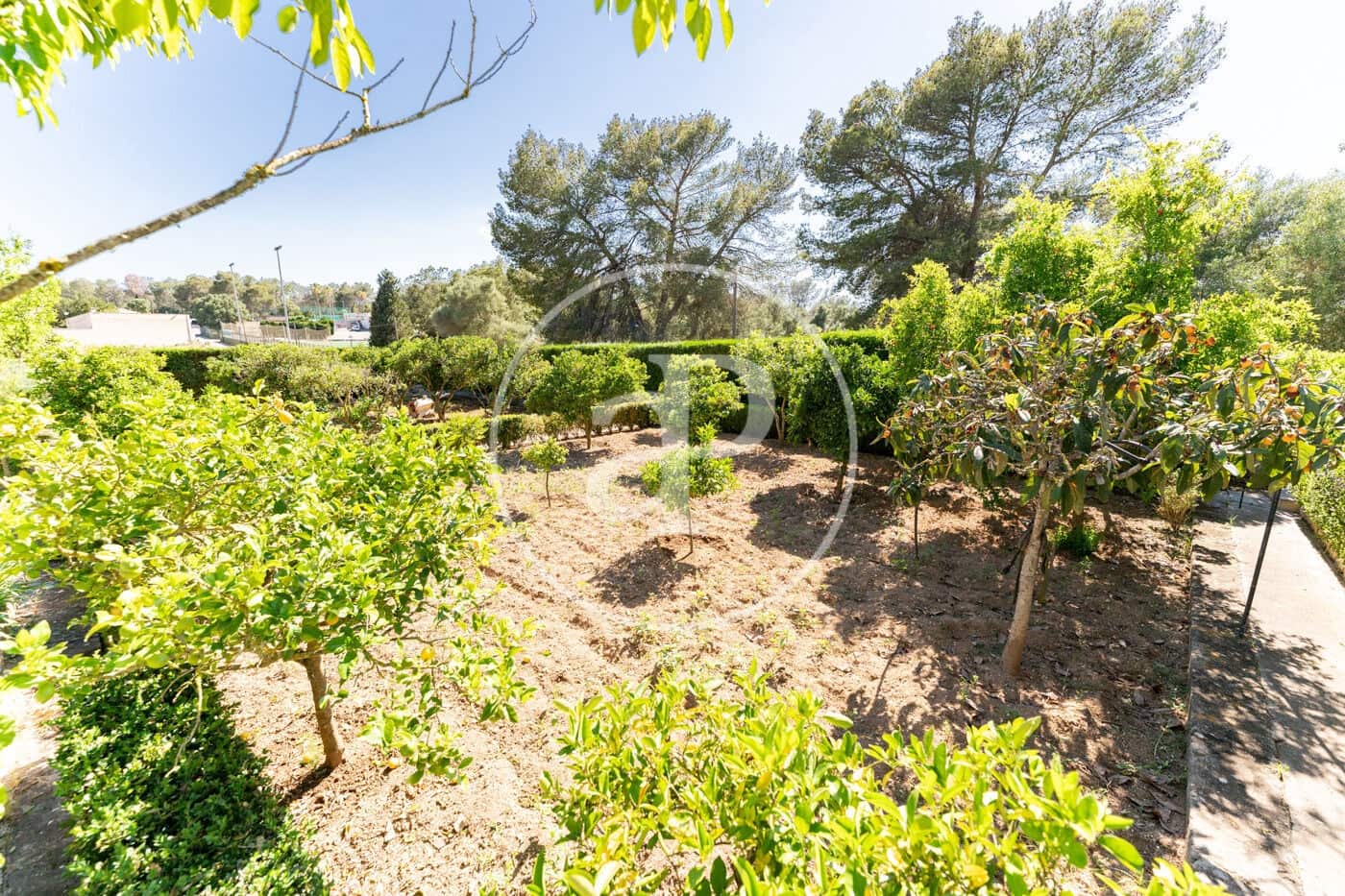 4 camera da letto Villa in vendita in Sineu con piscina - 950.000 € (Rif: 9892397)