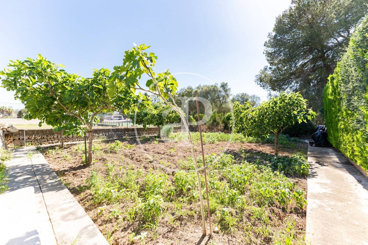 4 camera da letto Villa in vendita in Sineu con piscina - 950.000 € (Rif: 9892397)