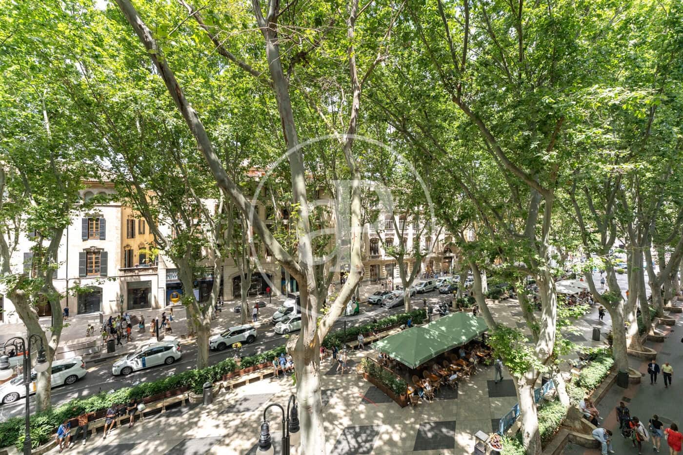 1 soverom Leilighet til leie i Palma de Mallorca - € 2 000 (Ref: 9892398)