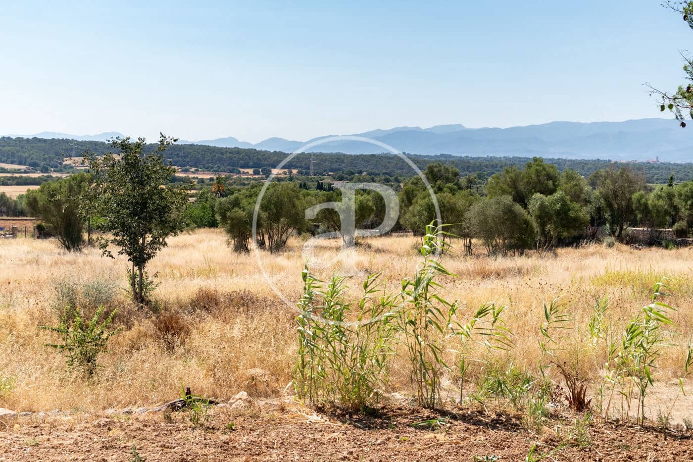 4 bedroom Villa for rent in Sineu with pool - € 5,500 (Ref: 9949825)