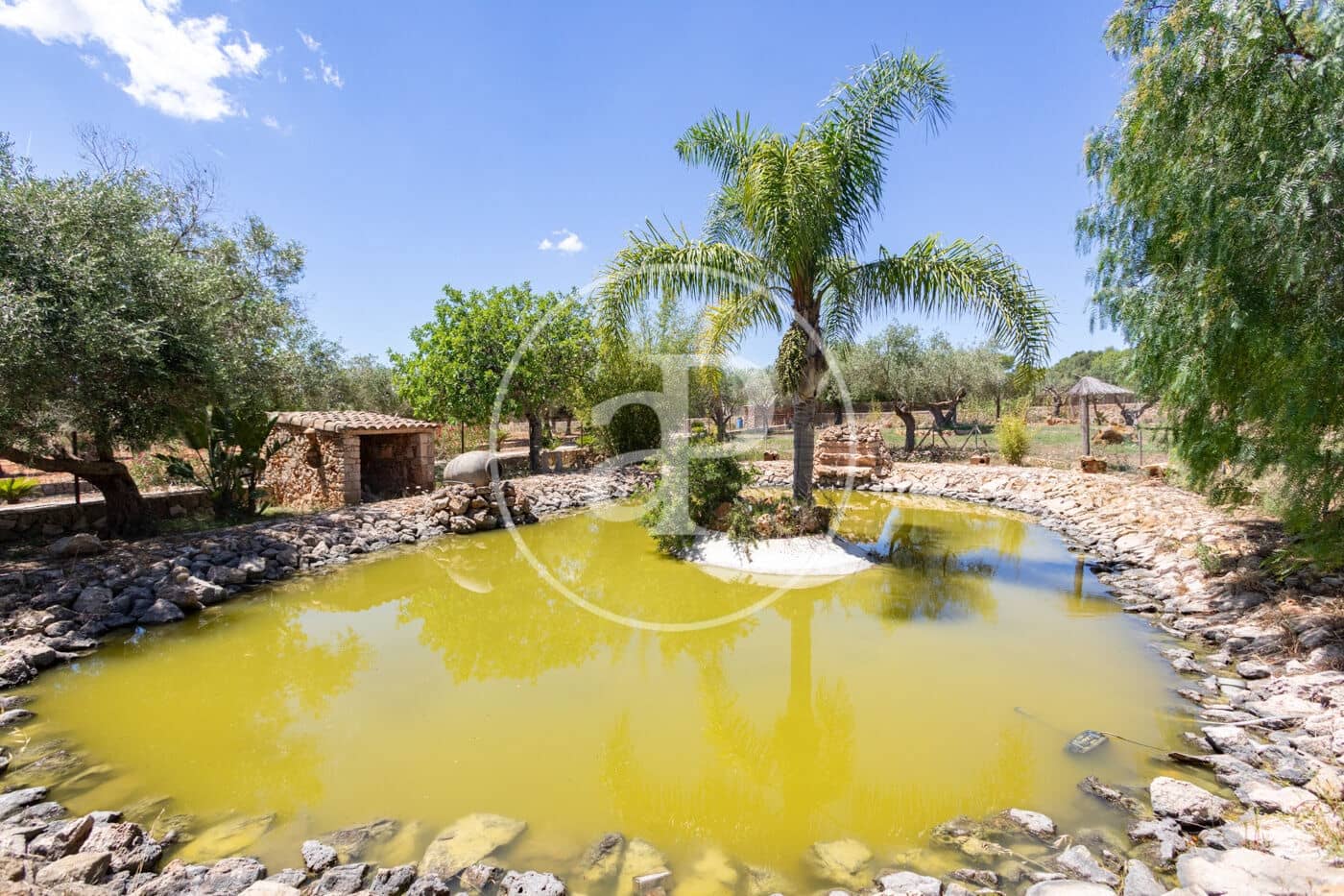 5 chambre Finca/Maison de Campagne à vendre à Santanyi avec piscine - 2 900 000 € (Ref: 9959805)