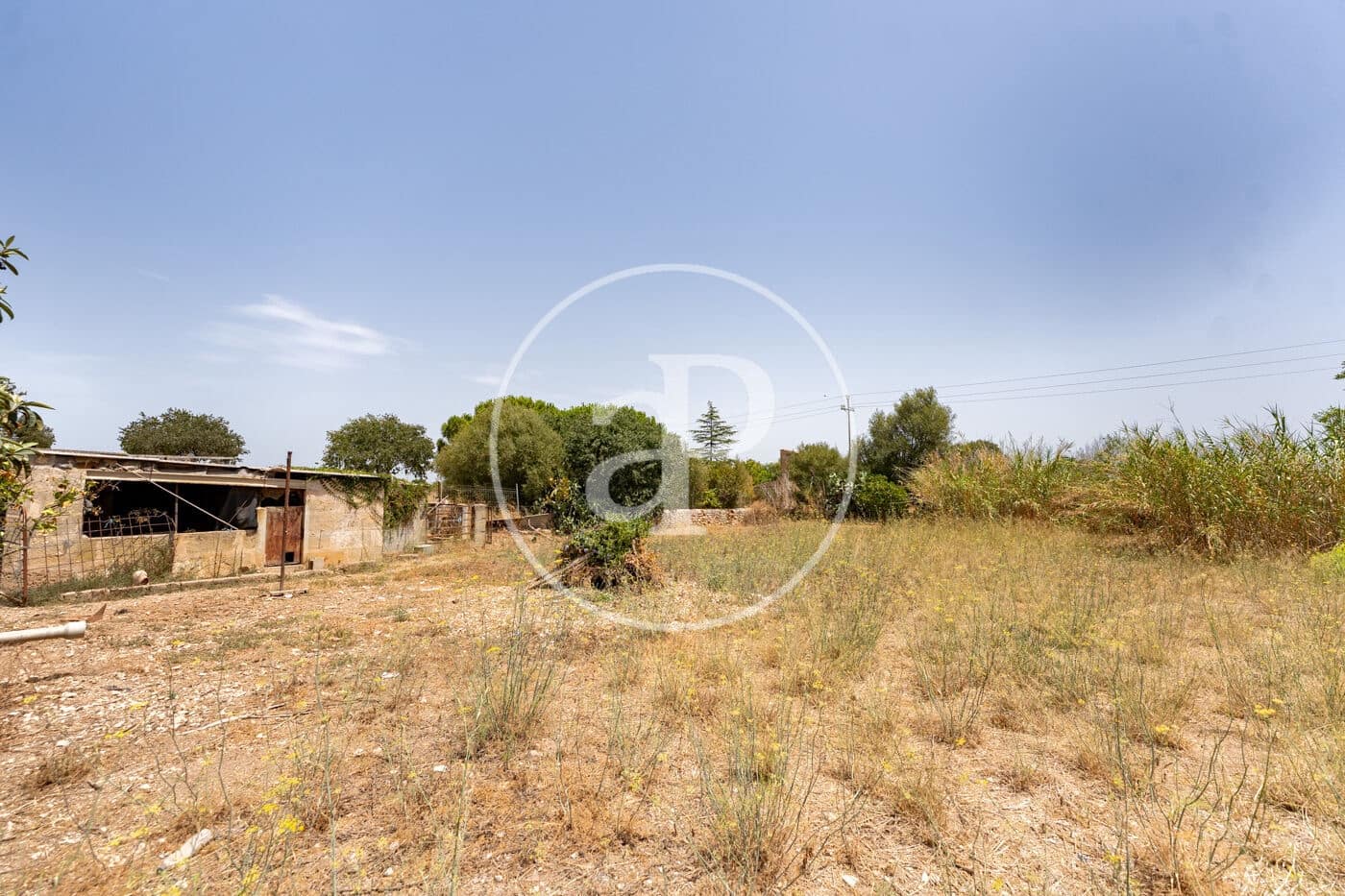 Terreno Non Edificato in vendita in Binissalem - 1.100.000 € (Rif: 9966678)