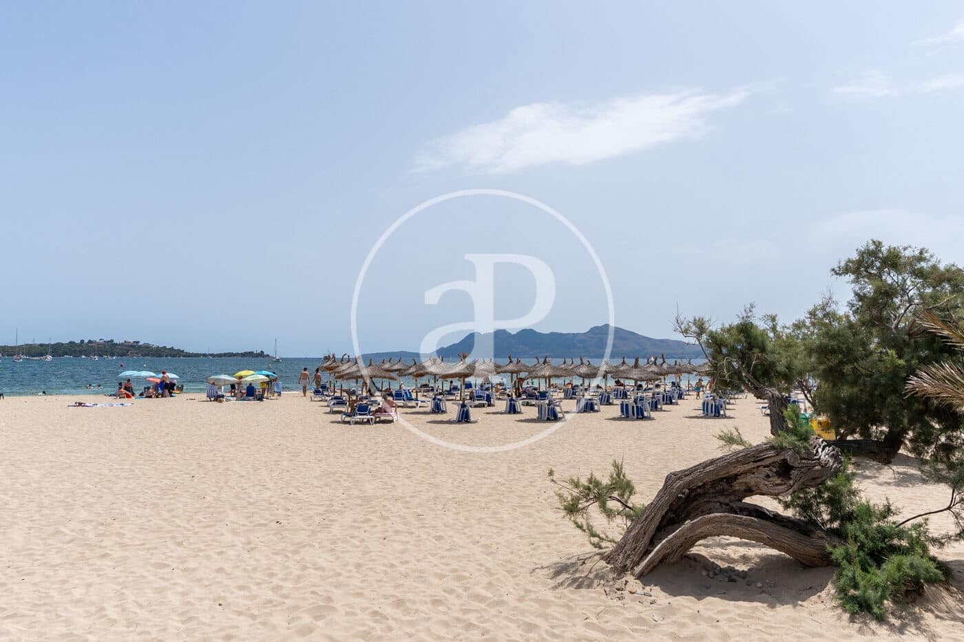 3 soveværelse Lejlighed til leje i Pollensa / Pollenca med garage - € 4.200 (Ref: 9978907)