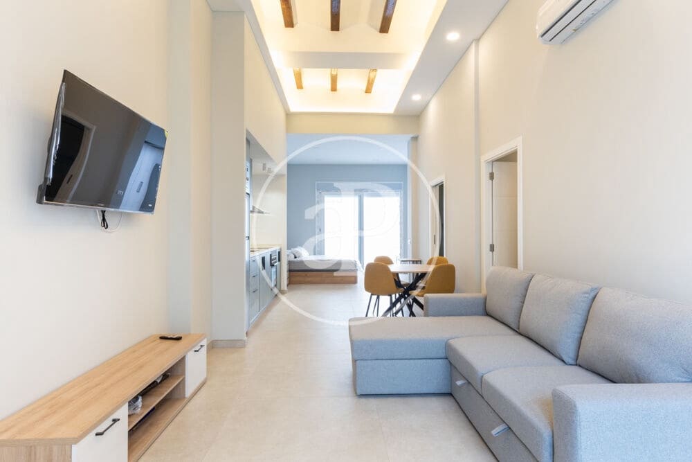Appartement de 1 chambre à louer à Valence ville - 1 500 € (Ref: 10005721)