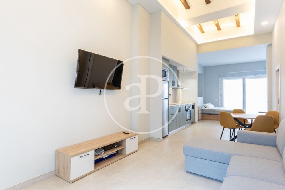 Appartement de 1 chambre à louer à Valence ville - 1 500 € (Ref: 10005721)