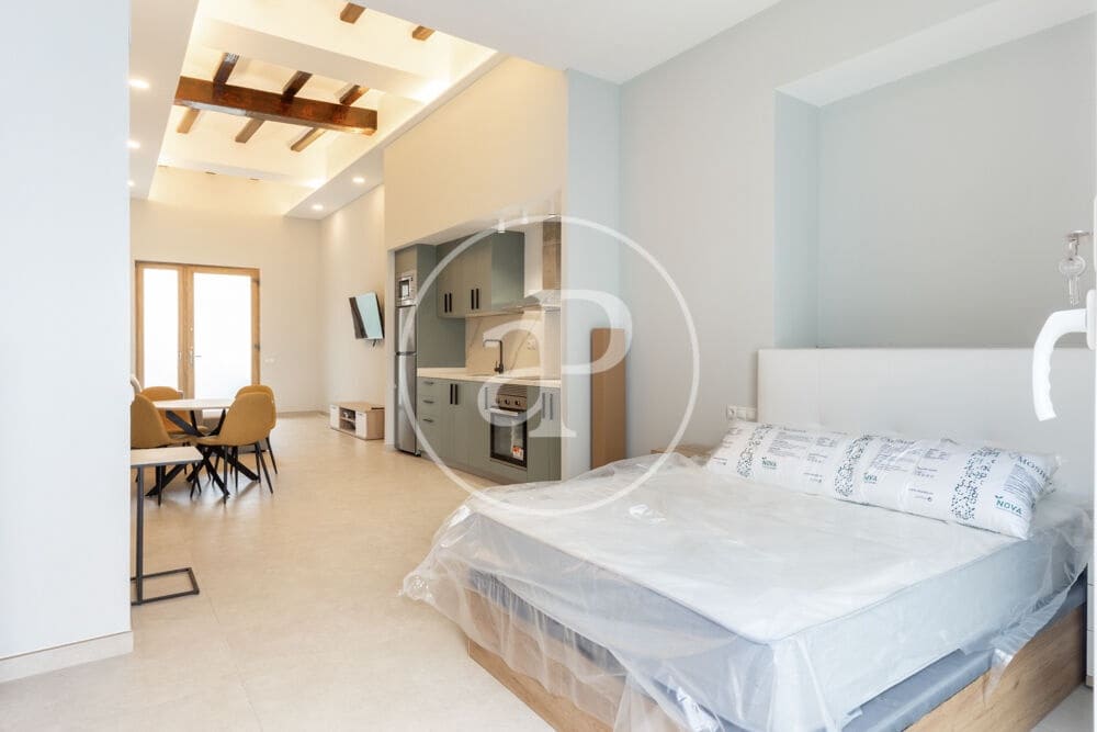 Appartement de 1 chambre à louer à Valence ville - 1 500 € (Ref: 10005721)
