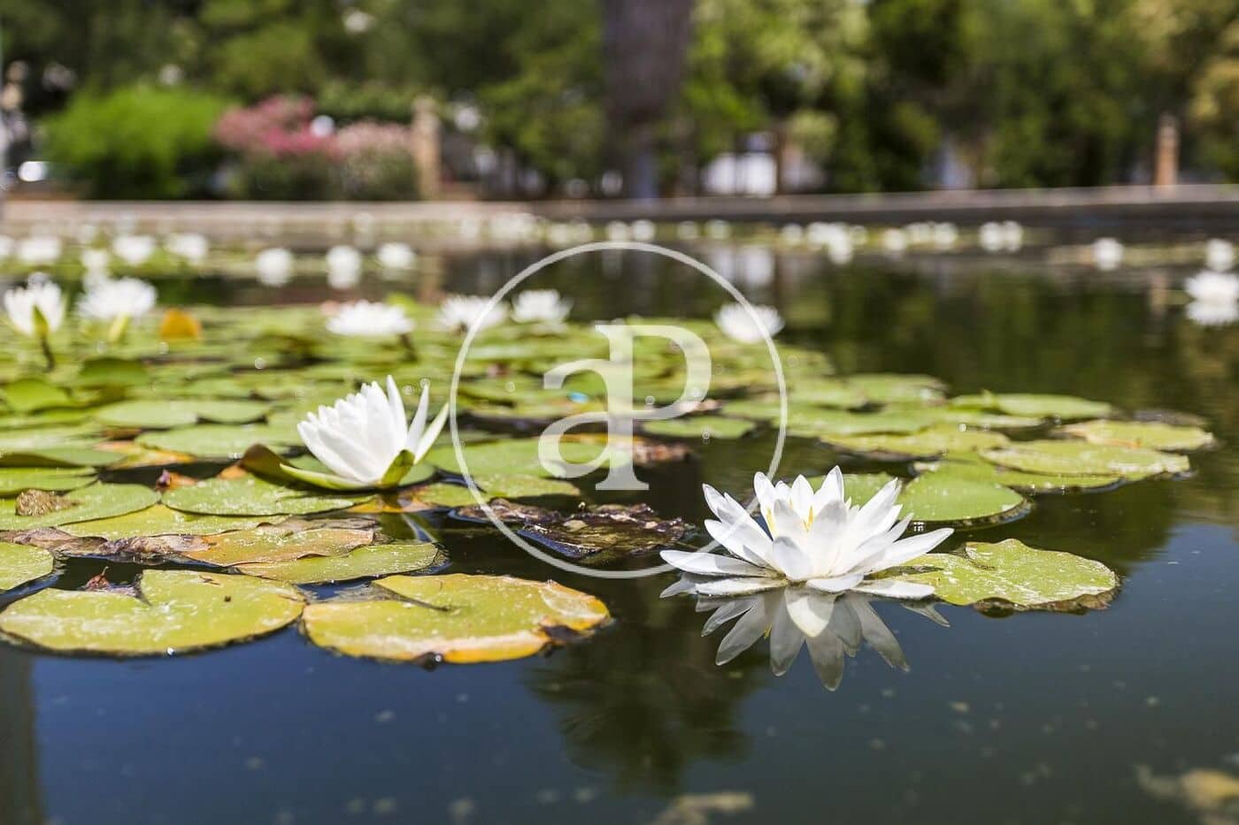 1 makuuhuone Huoneisto vuokrattavana paikassa Valencia kaupunki - 1 200 € (Ref: 10034071)