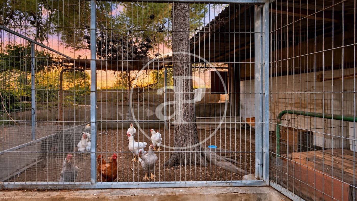 3 makuuhuone Maalaistalo myytävänä paikassa Lliria mukana uima-altaan - 449 000 € (Ref: 10089584)