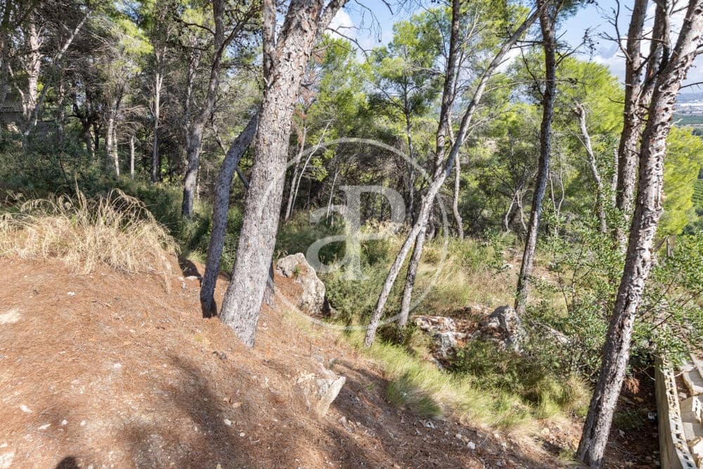 Undeveloped Land for sale in Chiva - € 160,000 (Ref: 10124483)