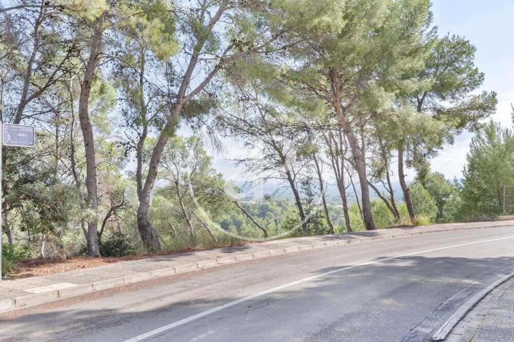 Undeveloped Land for sale in Chiva - € 160,000 (Ref: 10124483)
