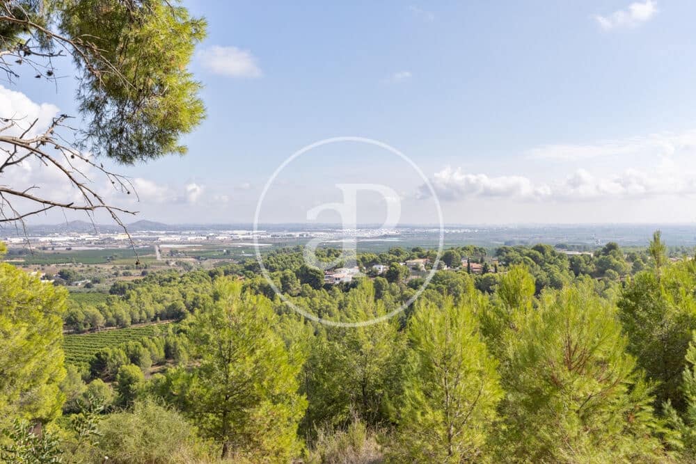 Undeveloped Land for sale in Chiva - € 160,000 (Ref: 10124483)