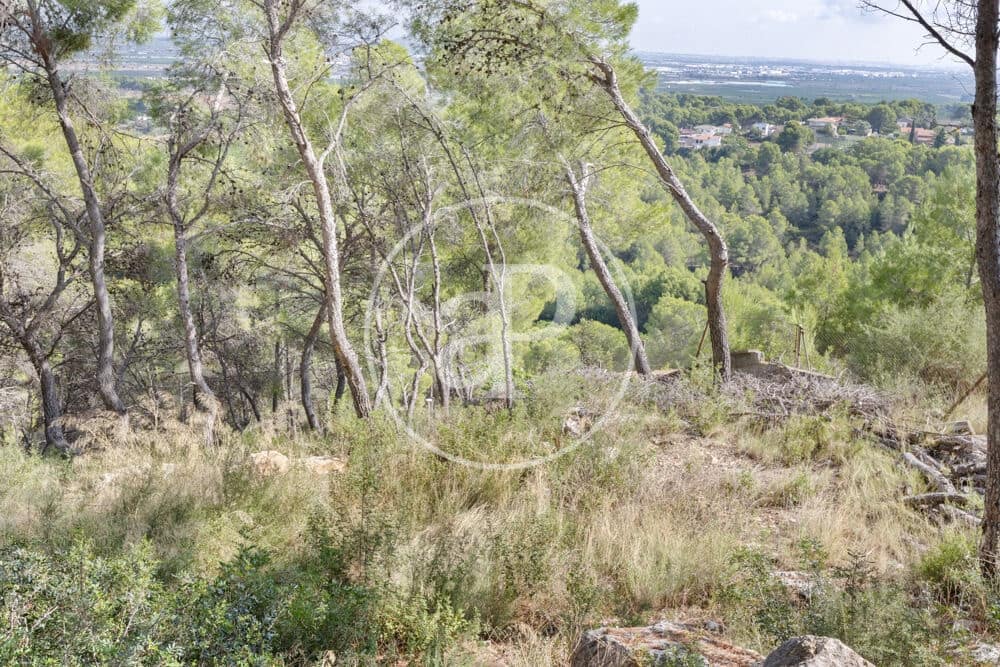 Undeveloped Land for sale in Chiva - € 160,000 (Ref: 10124483)