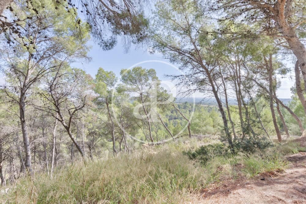 Undeveloped Land for sale in Chiva - € 160,000 (Ref: 10124483)