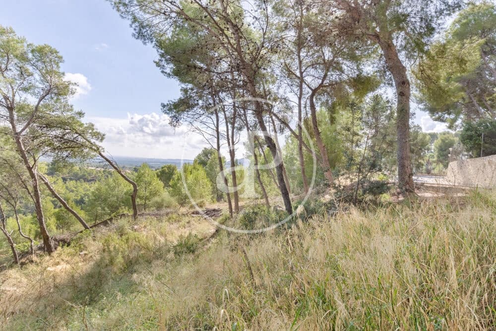 Undeveloped Land for sale in Chiva - € 160,000 (Ref: 10124483)