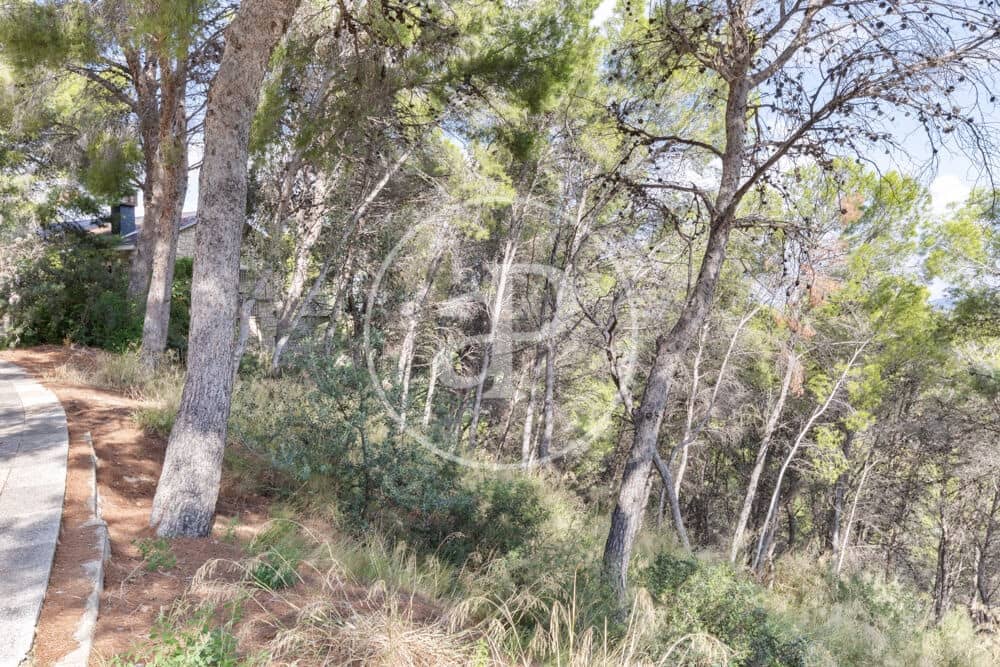Undeveloped Land for sale in Chiva - € 160,000 (Ref: 10124483)