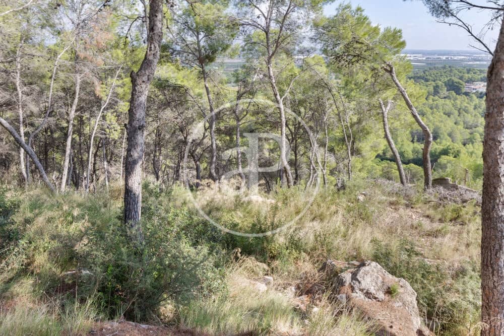 Undeveloped Land for sale in Chiva - € 160,000 (Ref: 10124483)