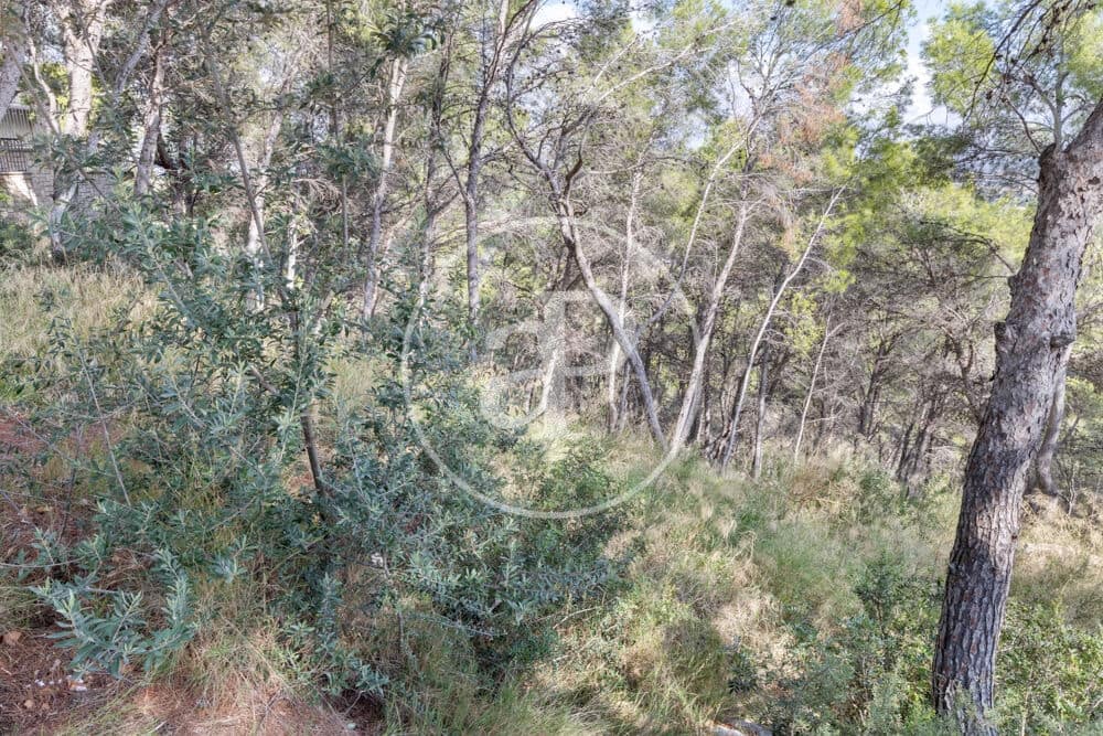 Undeveloped Land for sale in Chiva - € 160,000 (Ref: 10124483)