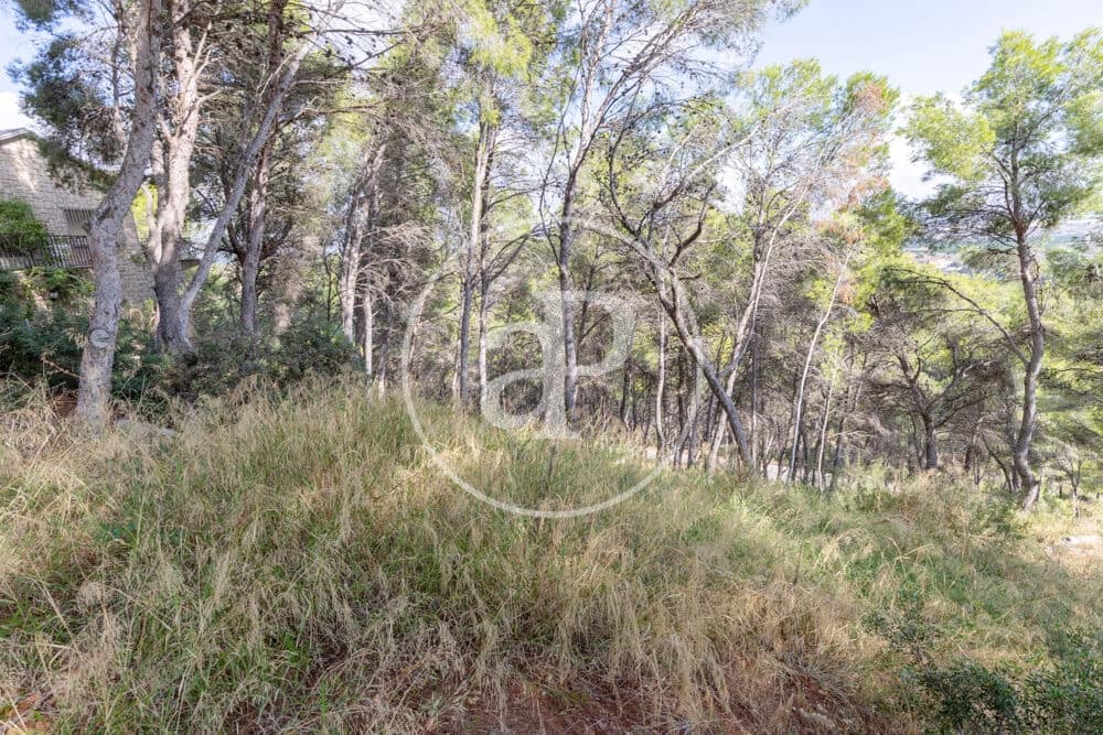 Undeveloped Land for sale in Chiva - € 160,000 (Ref: 10124483)