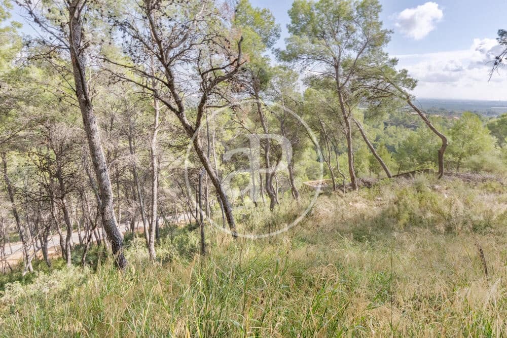 Undeveloped Land for sale in Chiva - € 160,000 (Ref: 10124483)
