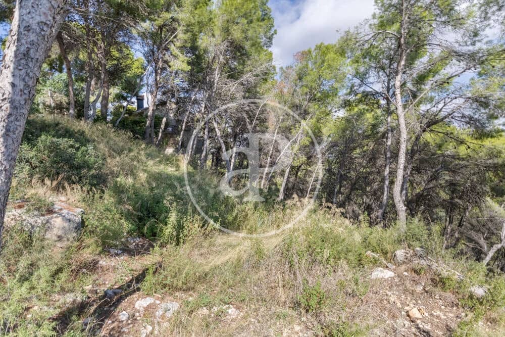 Undeveloped Land for sale in Chiva - € 160,000 (Ref: 10124483)
