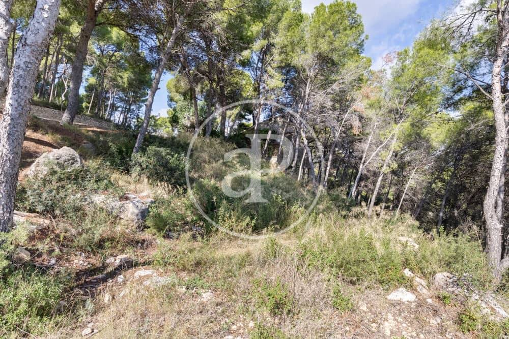 Undeveloped Land for sale in Chiva - € 160,000 (Ref: 10124483)