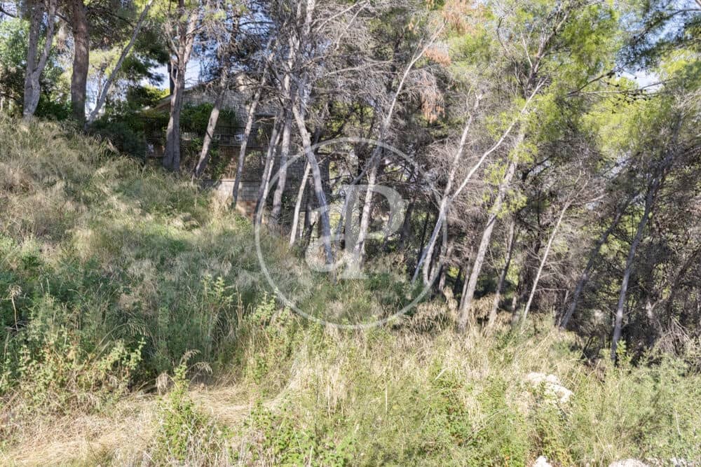 Undeveloped Land for sale in Chiva - € 160,000 (Ref: 10124483)