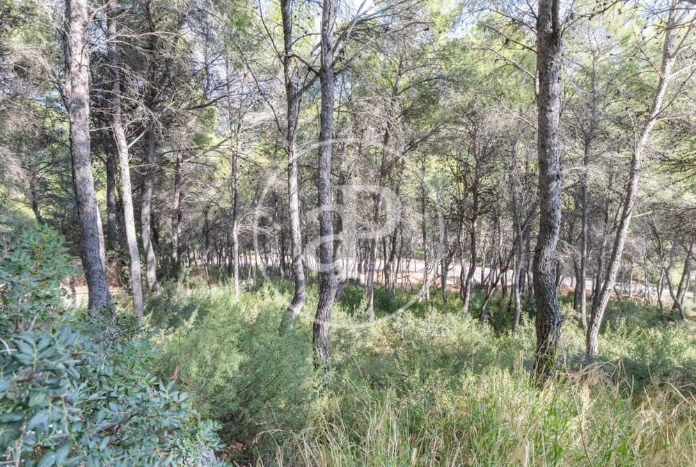 Undeveloped Land for sale in Chiva - € 160,000 (Ref: 10124483)