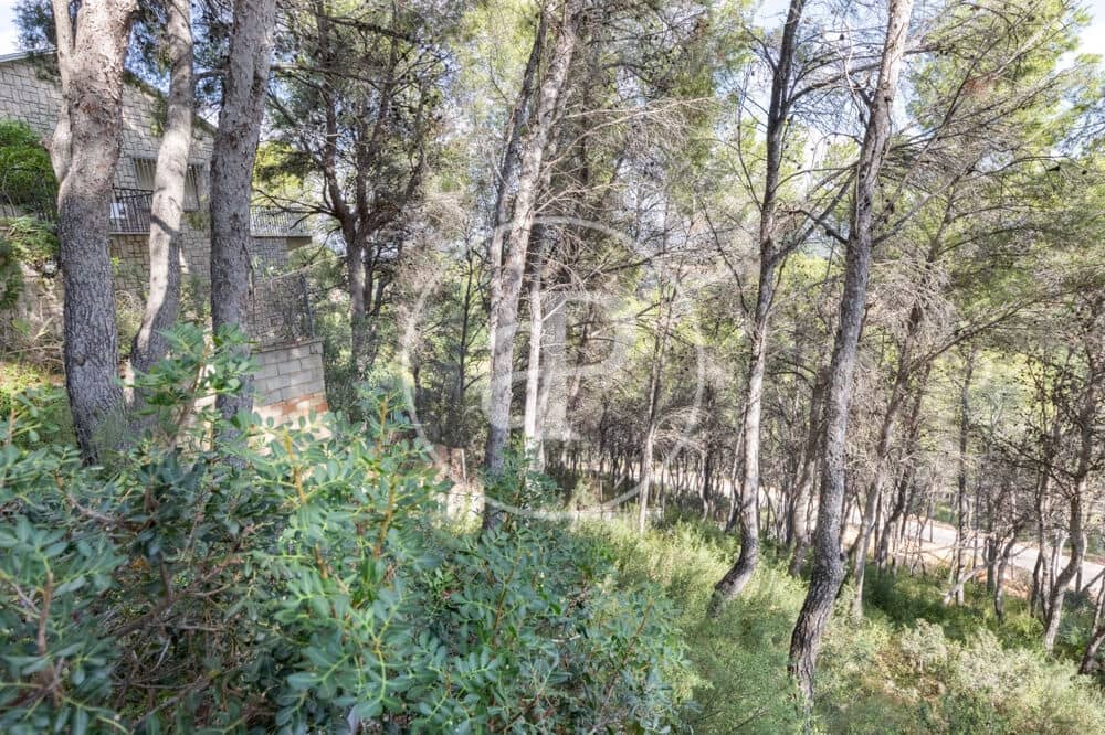 Undeveloped Land for sale in Chiva - € 160,000 (Ref: 10124483)