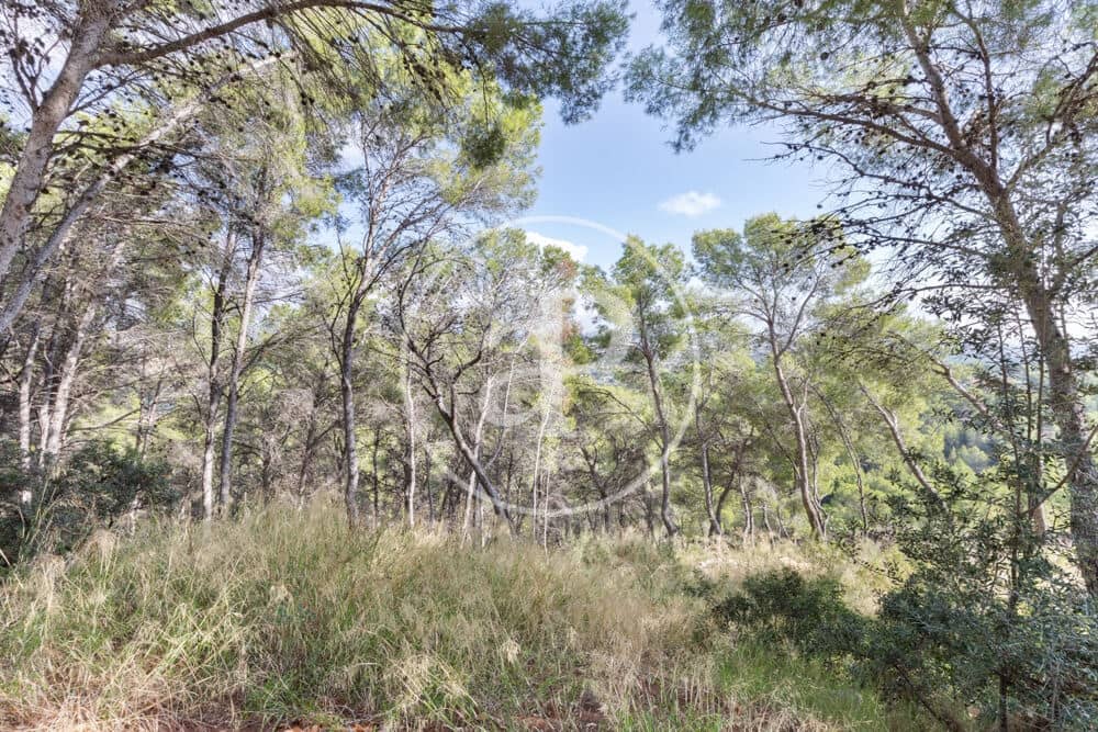 Undeveloped Land for sale in Chiva - € 160,000 (Ref: 10124483)