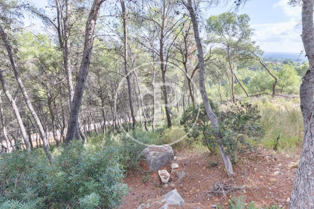 Undeveloped Land for sale in Chiva - € 160,000 (Ref: 10124483)