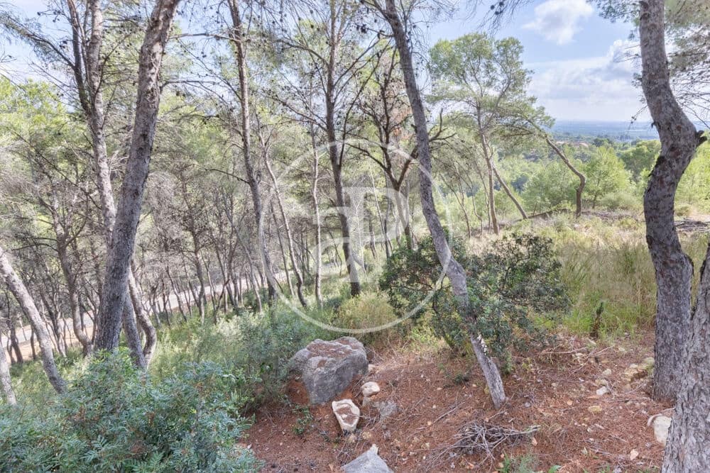 Undeveloped Land for sale in Chiva - € 160,000 (Ref: 10124483)