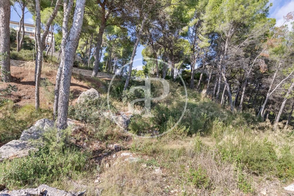 Undeveloped Land for sale in Chiva - € 160,000 (Ref: 10124483)
