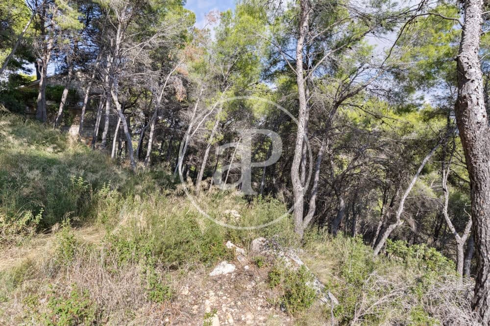 Undeveloped Land for sale in Chiva - € 160,000 (Ref: 10124483)