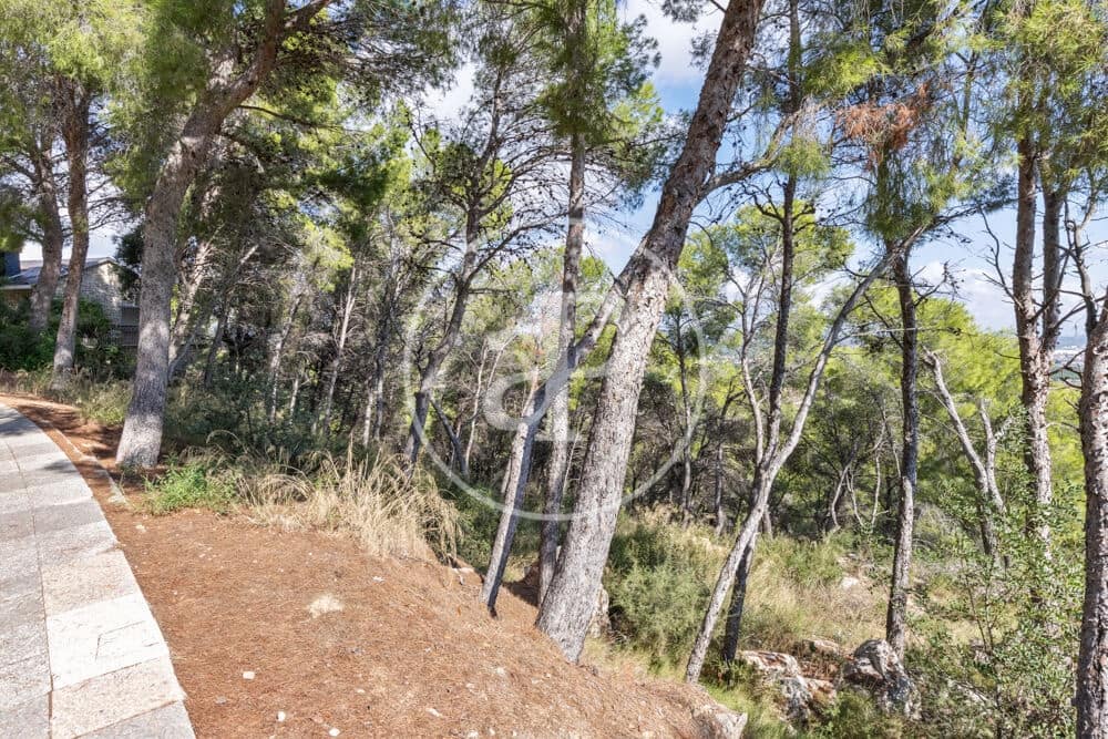 Undeveloped Land for sale in Chiva - € 160,000 (Ref: 10124483)
