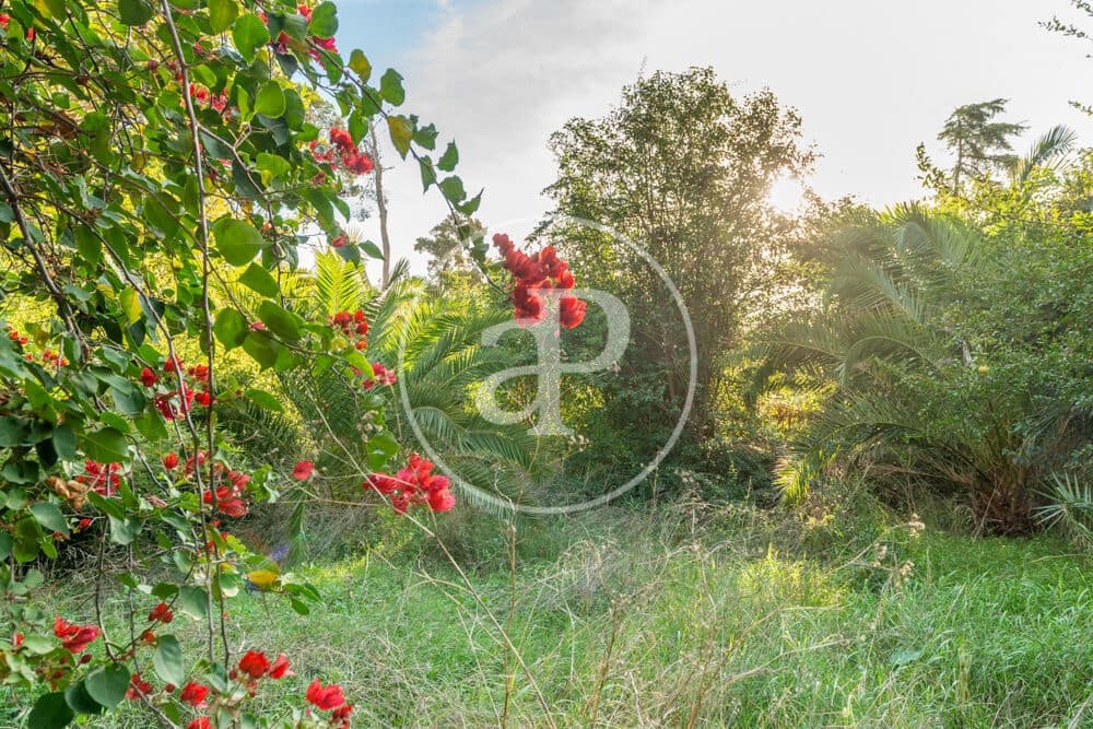 Terreno Non Edificato in vendita in Burriana / Borriana - 675.000 € (Rif: 10180544)