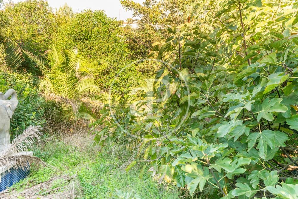 Terreno Non Edificato in vendita in Burriana / Borriana - 675.000 € (Rif: 10180544)