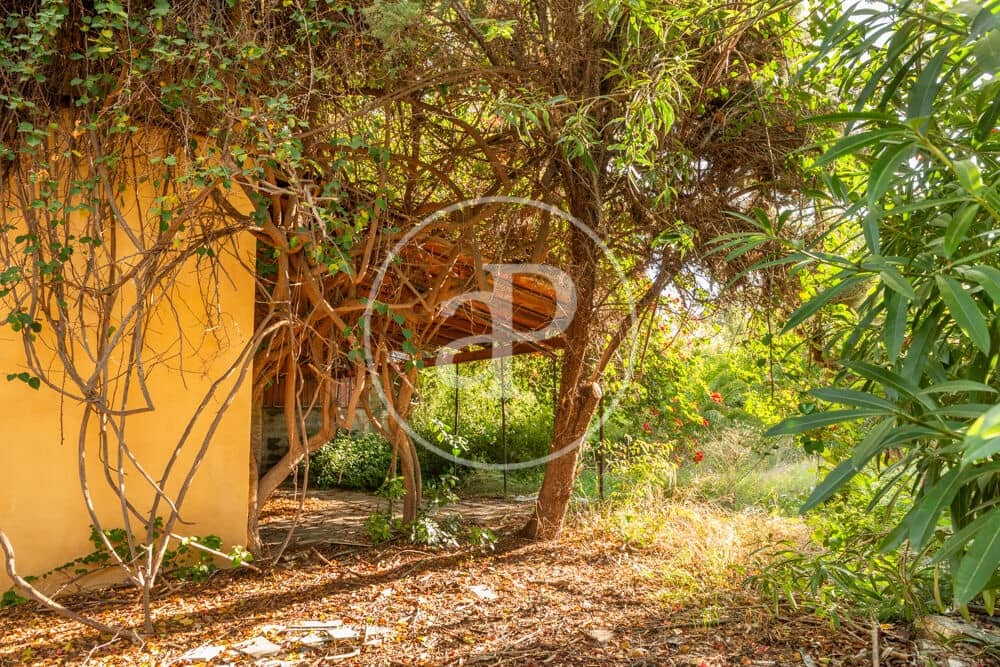 Terreno Non Edificato in vendita in Burriana / Borriana - 675.000 € (Rif: 10180544)