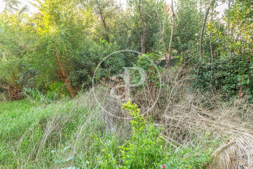 Terreno Non Edificato in vendita in Burriana / Borriana - 675.000 € (Rif: 10180544)