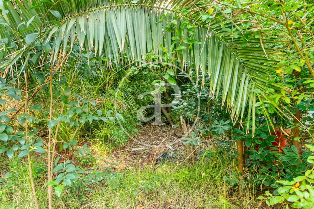 Terreno Non Edificato in vendita in Burriana / Borriana - 675.000 € (Rif: 10180544)